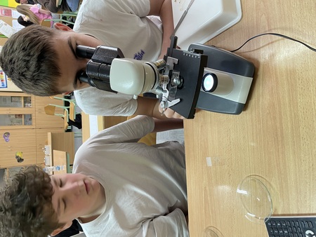 Naravoslovni-dan (10)